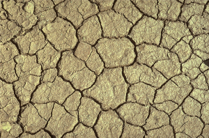 Mudcracks form when muddy sediment is exposed to the atmosphere and dries up. They have a characteristic polygonal shape when viewed from above, http://www.umt.edu/geosciences/faculty/hendrix/g100/L6B.html.  How is this process similar for cooling basalt? 