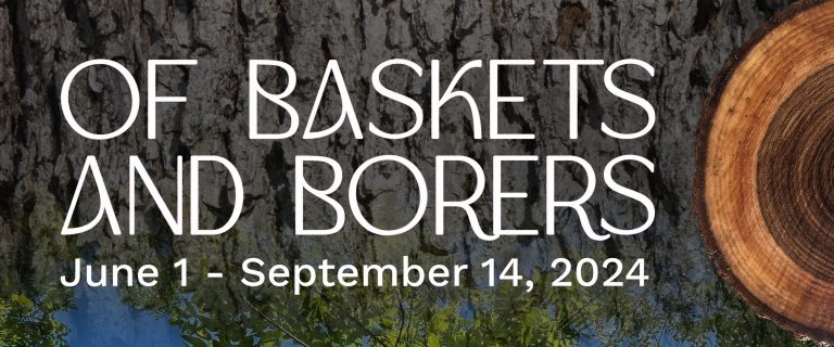 Exhibition Opening Reception | Of Baskets and Borers: The Past, Present, and Future of Indigenous Basketry in the White Mountains