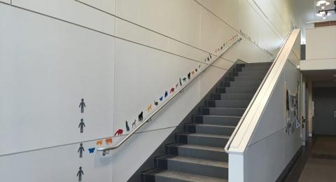 Endangered species wall installations