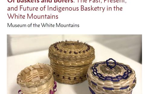 Review - Of Baskets and Borers