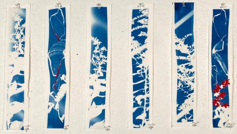 Emerging Exhibition