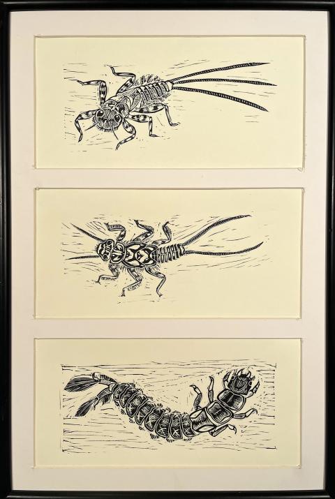 Autumn Heil, "Ephemeroptera, Plecoptera, Tricoptera", Linoleum Print.