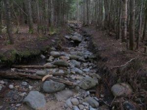 Severe erosion on the Asquam-Ridge Trail on Mount Moosilauke