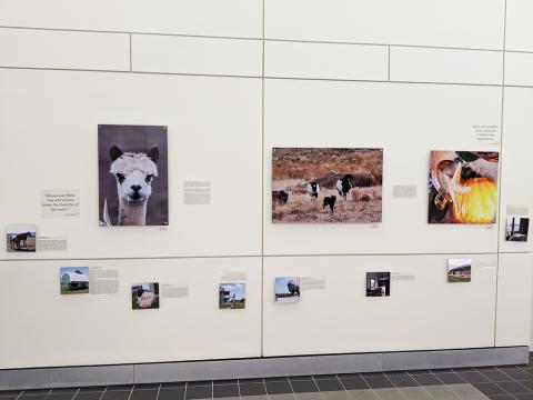 Space 2 Place exhibit Creative Places wall installation