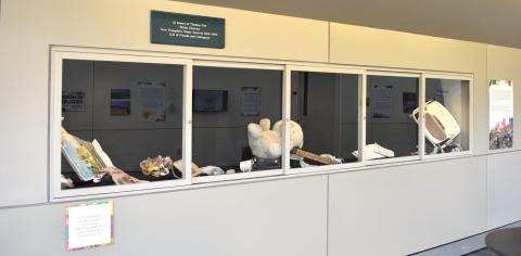 Echoes of Resilience exhibit
