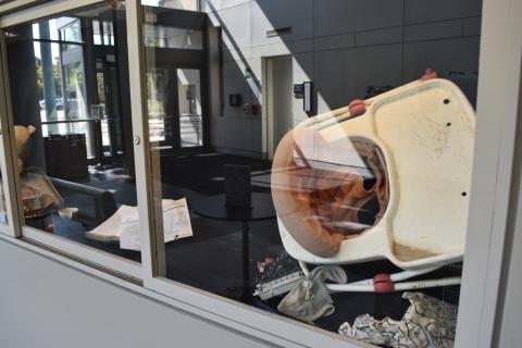 Echoes of Resilience exhibit