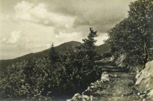 Edmands Path on Mount Eisenhower