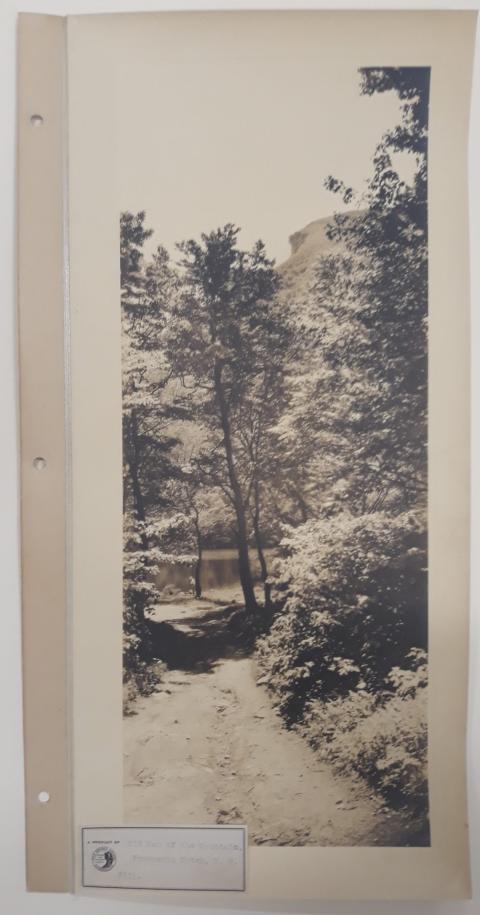 1920 photo of the White Mountains by Guy Shorey