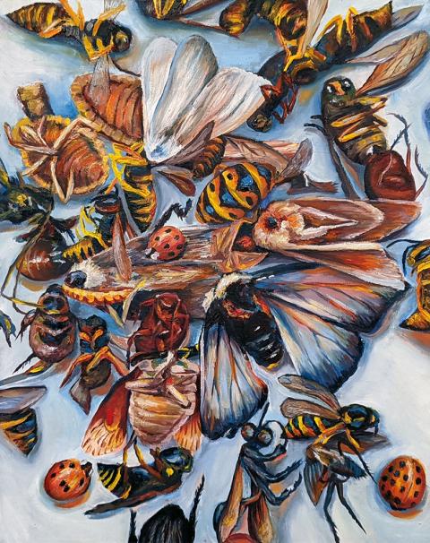 "Dead Bugs" Gwen Hoyt, Oil Paint, Level D