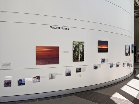 Natural Places exhibit wall