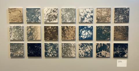 In the Path of Totality Exhibition