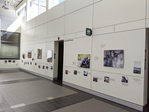 Space 2 Place exhibit Protected Places wall installation