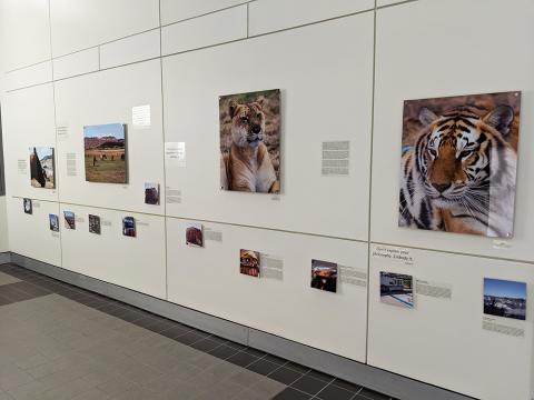 Space 2 Place exhibit Protected Places wall installation