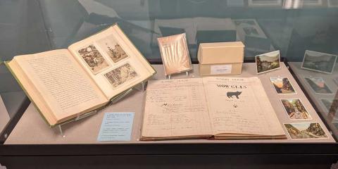 exhibition case