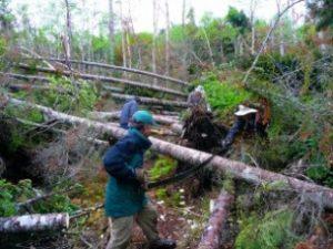 Wonalancet Out Door Club volunteers clearing hurricane blowdowns on the Kate Sleeper Trail in the Sandwich Range Wilderness