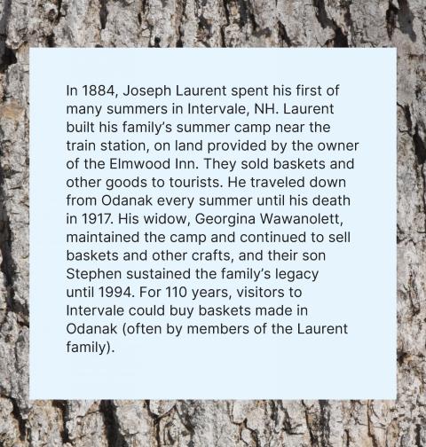Of Baskets and Borers exhibition panel