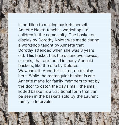 Of Baskets and Borers exhibition panel