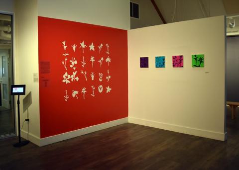 Endangered Invasive Undiscovered [Species] exhibit installation view