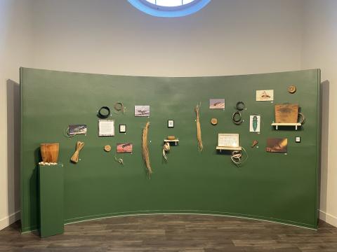 display at exhibition