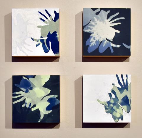 Kimberly Ritchie, Undiscovered Species: Blue. Cyanotype, silkscreen, silverpoint. 2020.