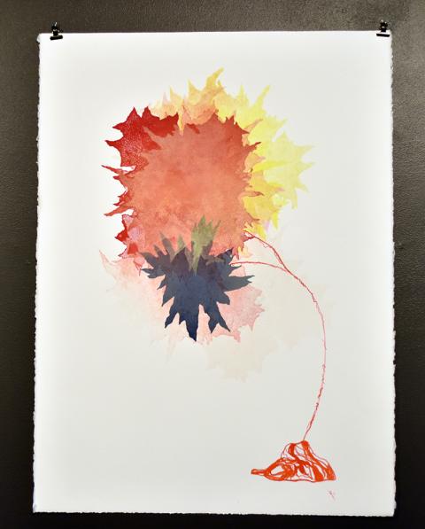 Kimberly Ritchie, Undiscovered Species Conceptual Drawings.