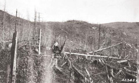 Man walking along burned out hills after a fire