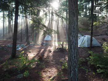 Camp Mowglis.