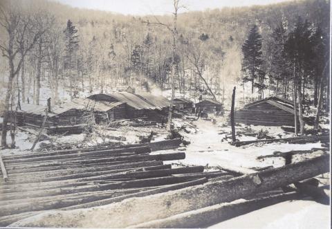Typical Logging Camp. Guy L. Shorey Collection, Mount Washington Observatory.