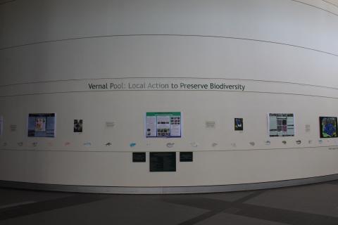 vernal pool intro