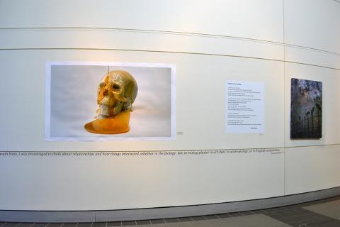 art display 16