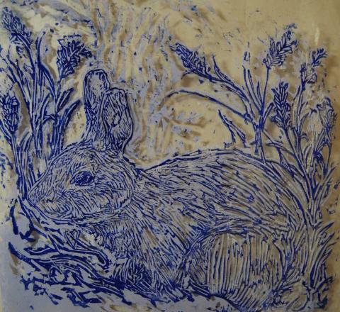 rabbit
