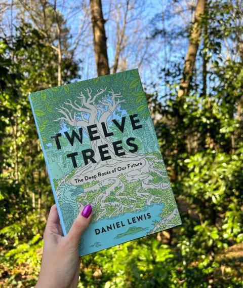 Twelve Trees