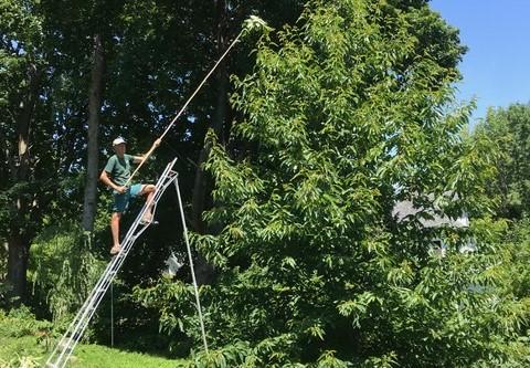 Doug on Ladder