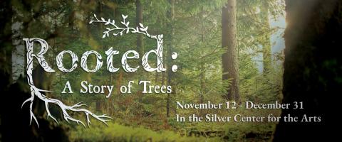 Rooted: A Story of Trees Banner Image