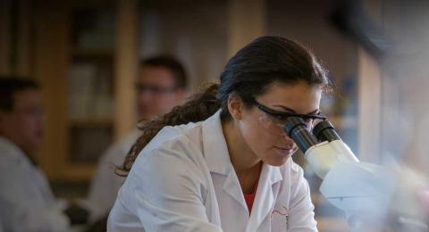 Student using microscope