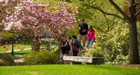 Students on Plymouth Campus in the spring