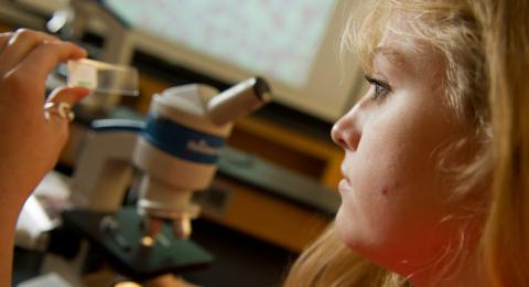 student at microscope in sciences