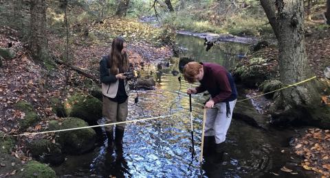 Two students taking field samples.
