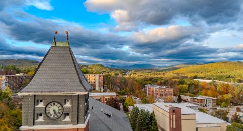 Photo of Pumpkins on Rounds