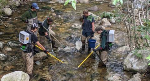 Four students taking field samples