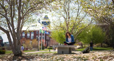 Student sitting on a bench outside