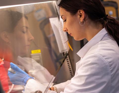 Student working in a lab