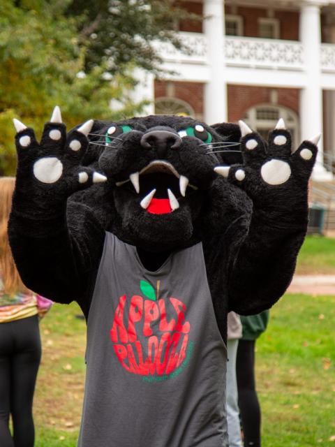 Mascot