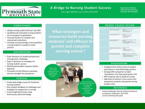 A Bridge to Nursing Student Success 