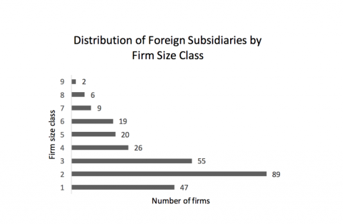 foreign subsidiaries by firm size