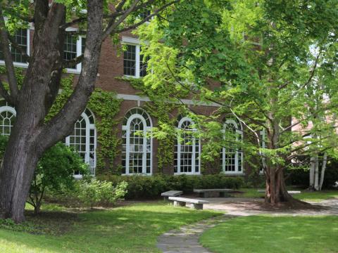 trees and granite benches on Plymouth campus 