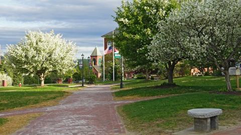 Plymouth campus in the spring