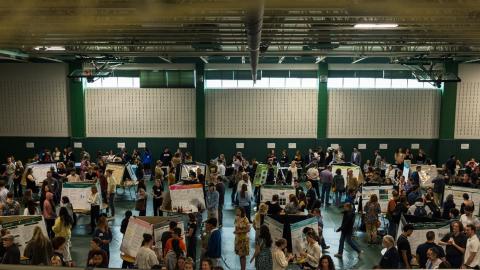 A room full of at least 100 students and individuals discussing the Student Showcase Presentations
