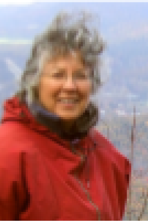 Lisa Doner